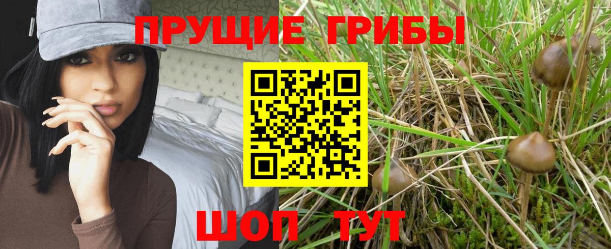 Галлюциногенные грибы ЛСД  Вход с VPN  Астрахань 