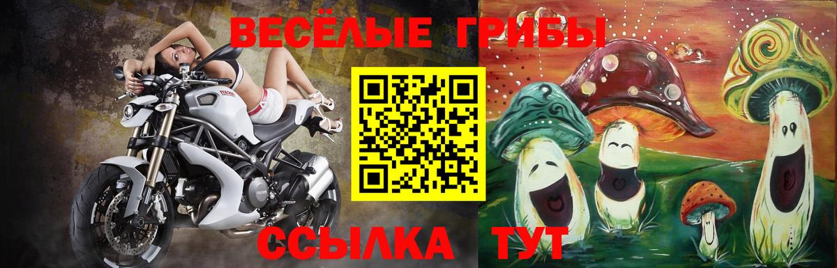 Галлюциногенные грибы прущие грибы Астрахань